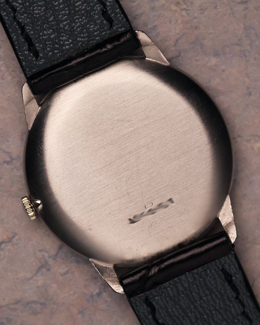 Caseback view of the Vacheron Constantin Ref. 2006 displaying the smooth brushed finish of the white-gold back and strap attachment points.